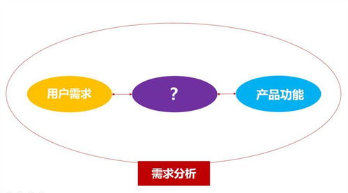 定制化與通用型企業管理軟件的抉擇策略