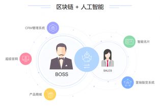 喜推智能CRM系統(tǒng) 賦能代賬公司，開(kāi)啟企業(yè)管理服務(wù)高效新時(shí)代